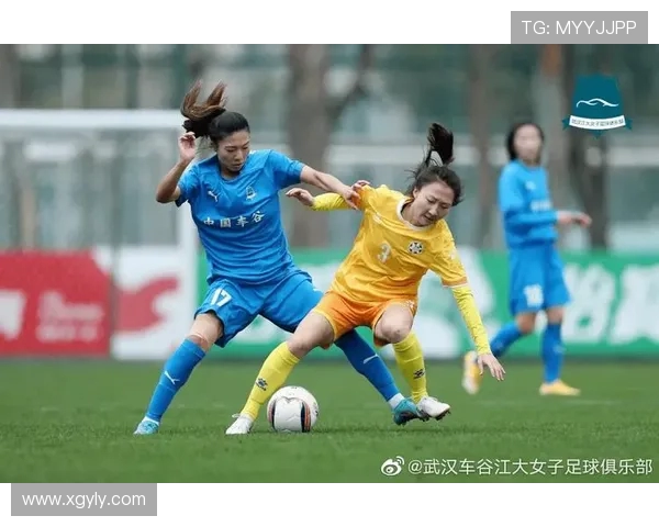 成都网球队以83分领跑选拔赛积分榜展现强劲实力